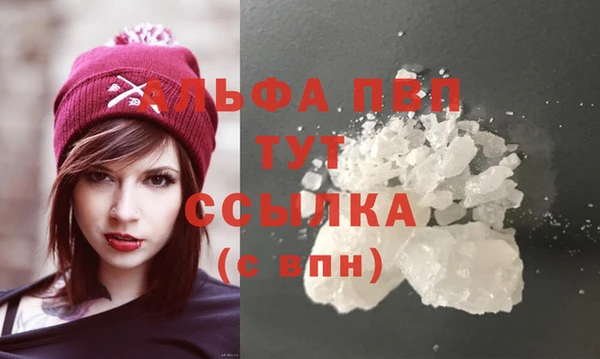 гидра Алексеевка