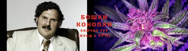 гидра Алексин