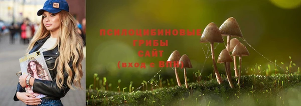 гидра Алексин
