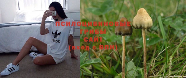 2c-b Иннополис