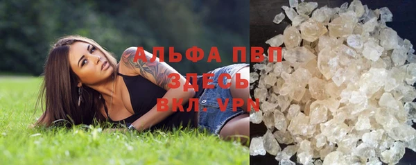 гидра Алексеевка