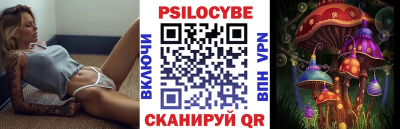 Галлюциногенные грибы Cubensis  продажа наркотиков  Сунжа 
