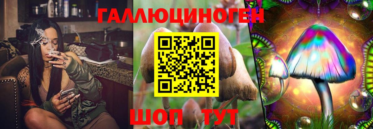 Сунжа  Галлюциногенные грибы мухоморы  Вход с VPN 